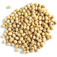 Soybeans